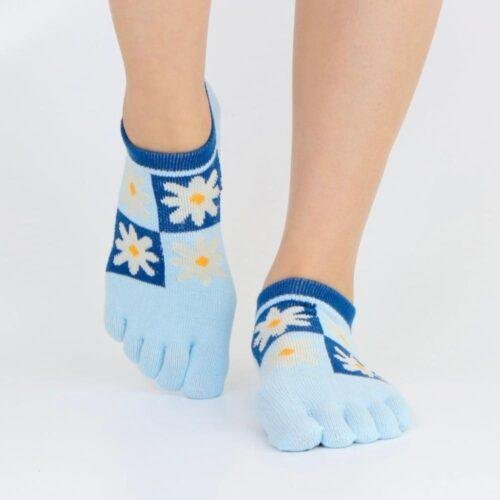 Cosmos2.jpg | Thumb Toe