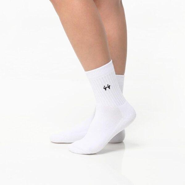 Daily Socks
