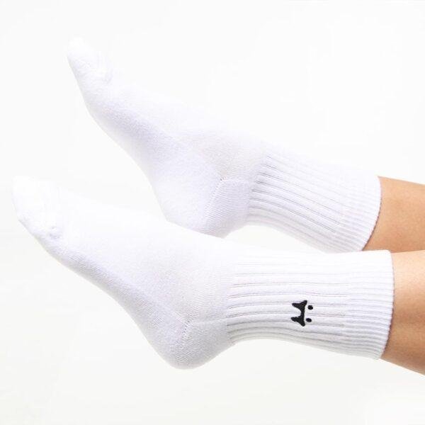 Daily Socks